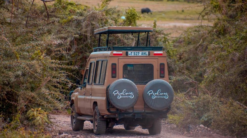 Budget Tanzania Safari gallery photo 4